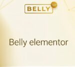 Belly Elementor Wordpress Theme